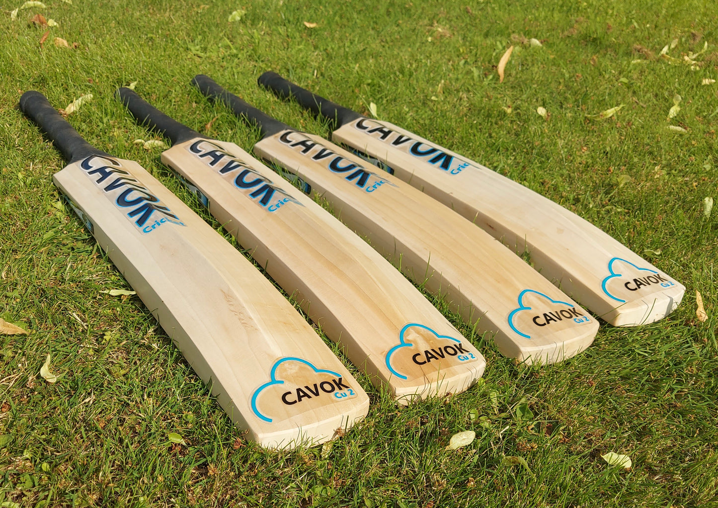 CAVOK Cricket Cu 2